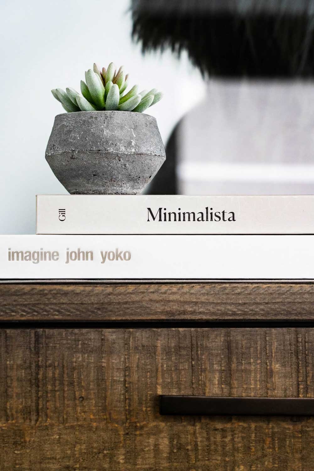 A minimalist home decor style for an AirBnb.